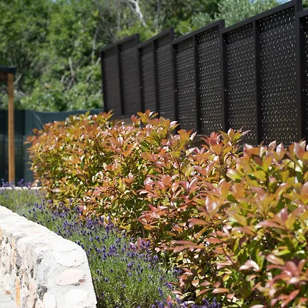 Volare Vrbnik (Primorje-Gorski Kotar)