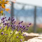 Volare 빌라 비르브닉